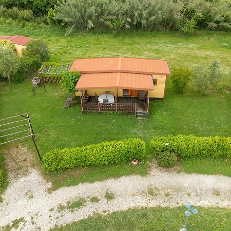 Agriturismo Nonna Stella Bibbona Exterior foto